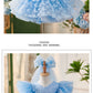 Little Girl's Birthday Princess Pettiskirt