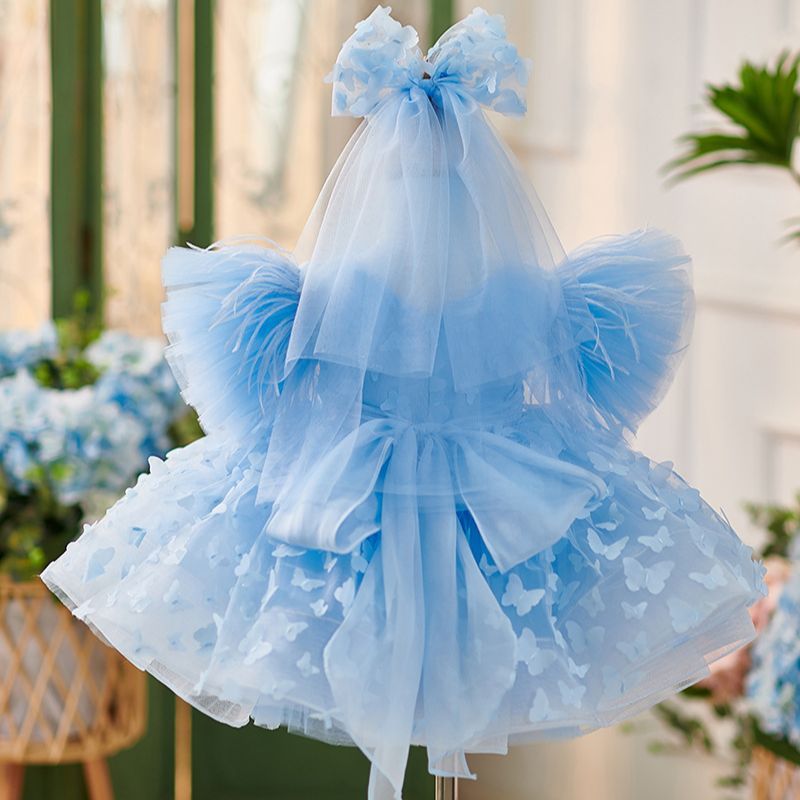 Little Girl's Birthday Princess Pettiskirt