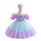 Girl's Puff Sleeve Pettiskirt Small Host Performance Dress